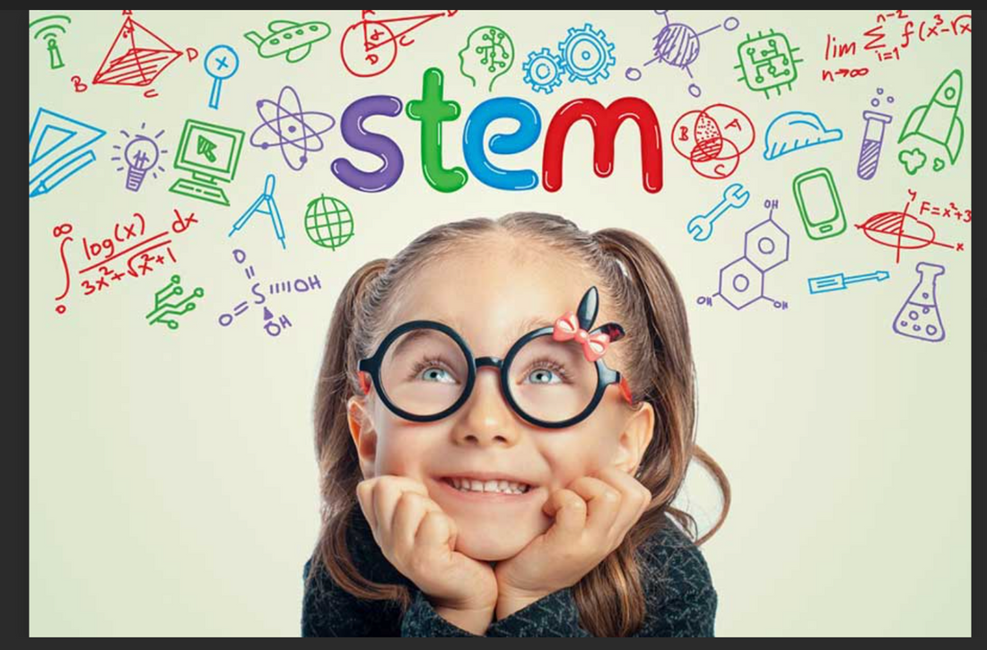 The Essential Role of Rulers and Flat Measuring Tools in STEM Education