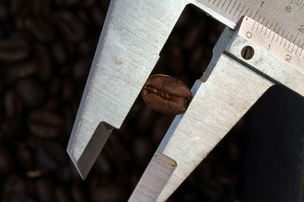 Lignes Rulers – Lance Rulers - Precision Measuring Tools
